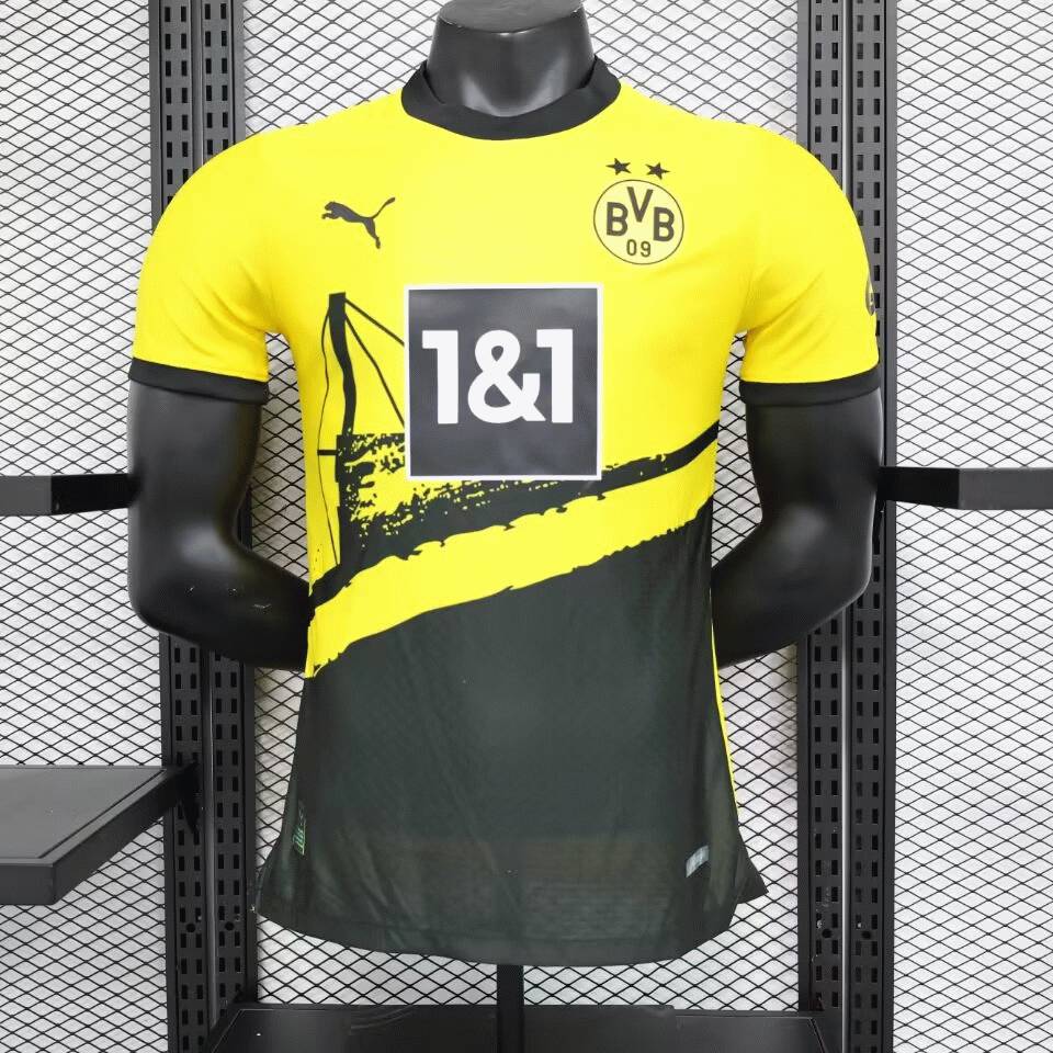 Borussia Dortmund 2023-24